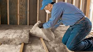 Types of Insulation We Offer in Mascotte, FL